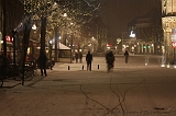BrinkBesneeuwd_001