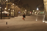 BrinkBesneeuwd_004