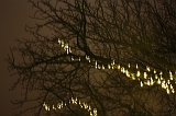 BrinkBesneeuwd_006
