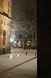 BrinkBesneeuwd_009