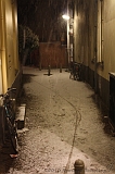 BrinkBesneeuwd_017