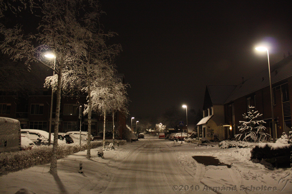 SneeuwBomen_001.jpg