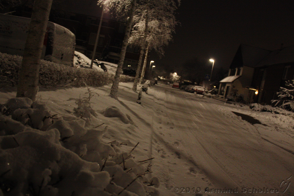 SneeuwBomen_004.jpg