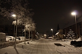 SneeuwBomen_001