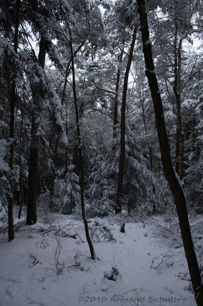 HolterBerg_004.jpg