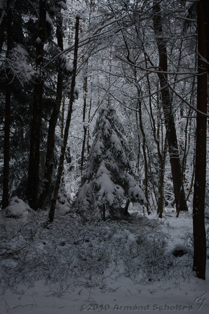 HolterBerg_005.jpg