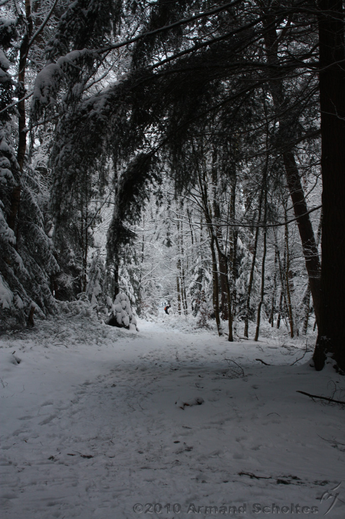 HolterBerg_006.jpg