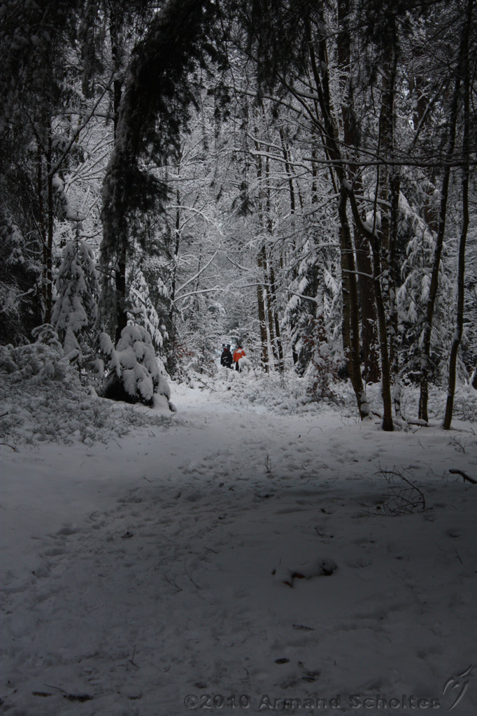 HolterBerg_007.jpg