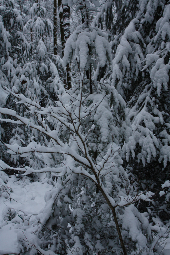 HolterBerg_012.jpg