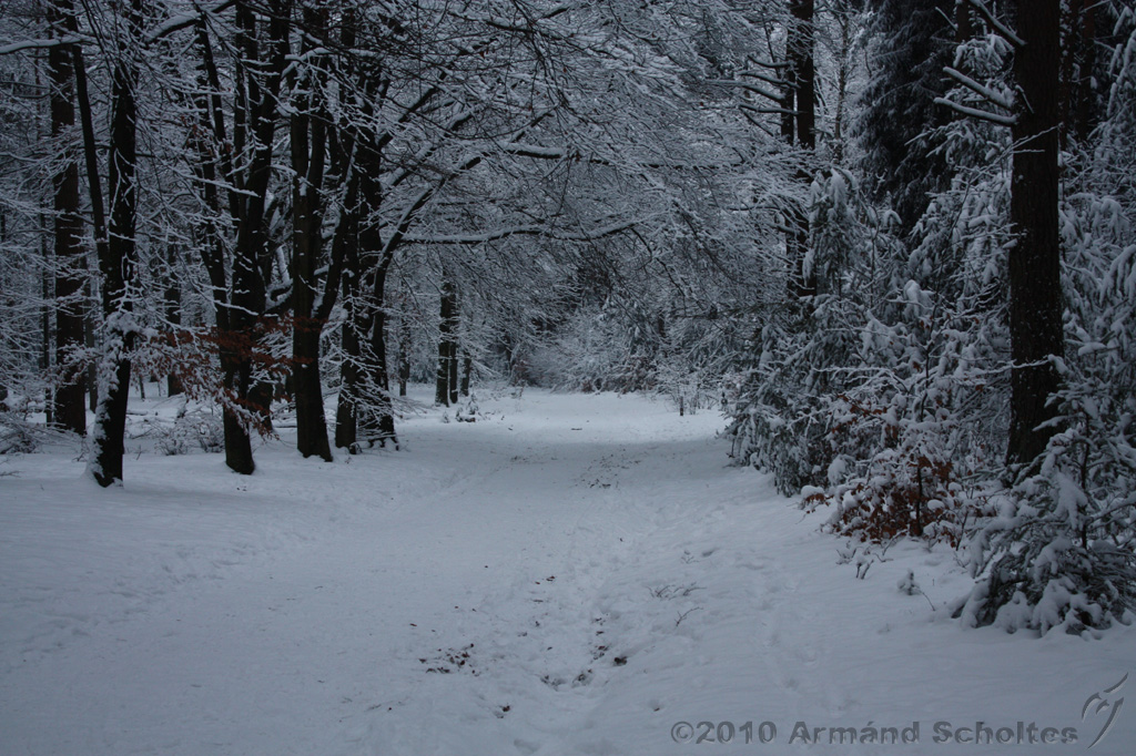 HolterBerg_016.jpg
