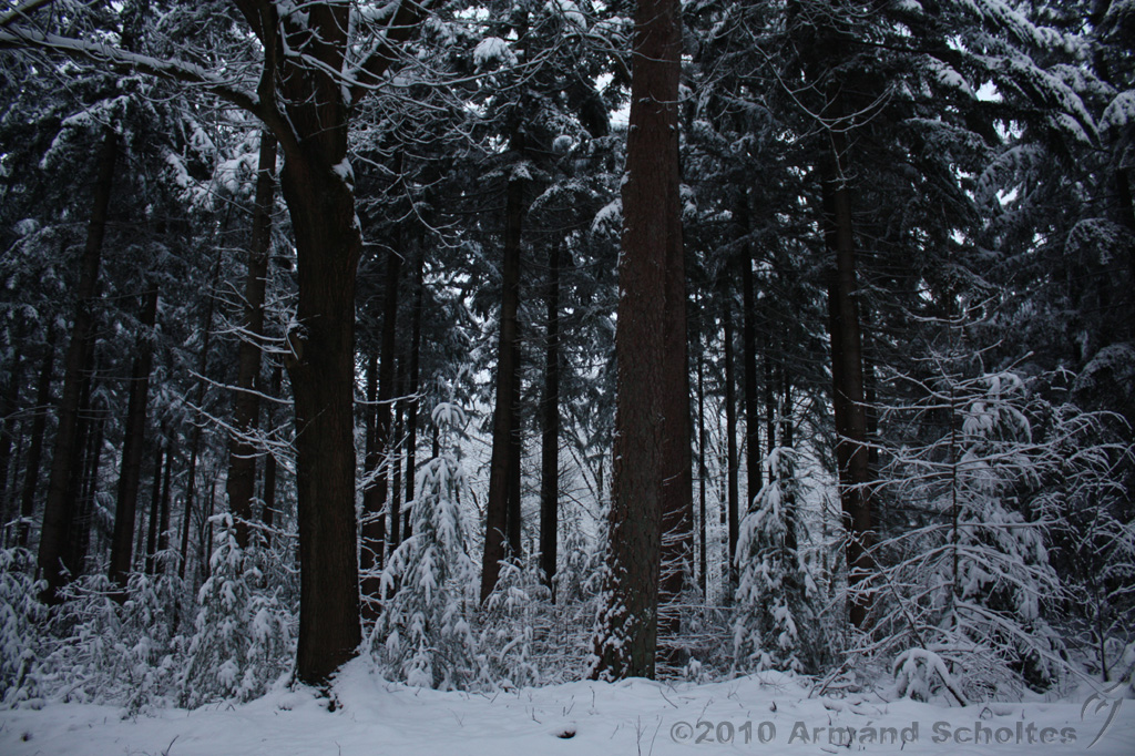HolterBerg_019.jpg