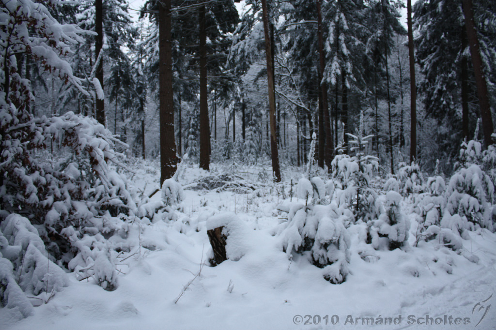 HolterBerg_022.jpg