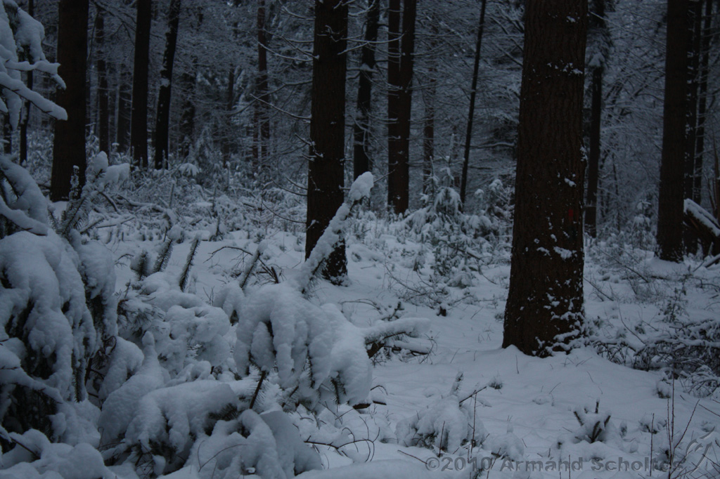 HolterBerg_023.jpg