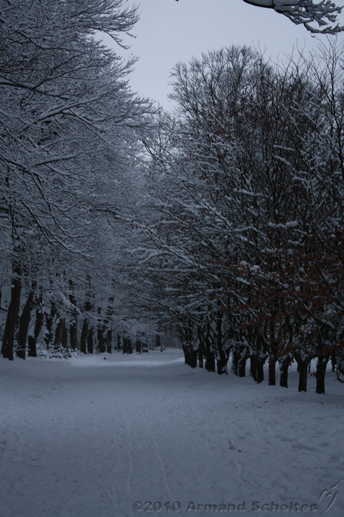 HolterBerg_025.jpg