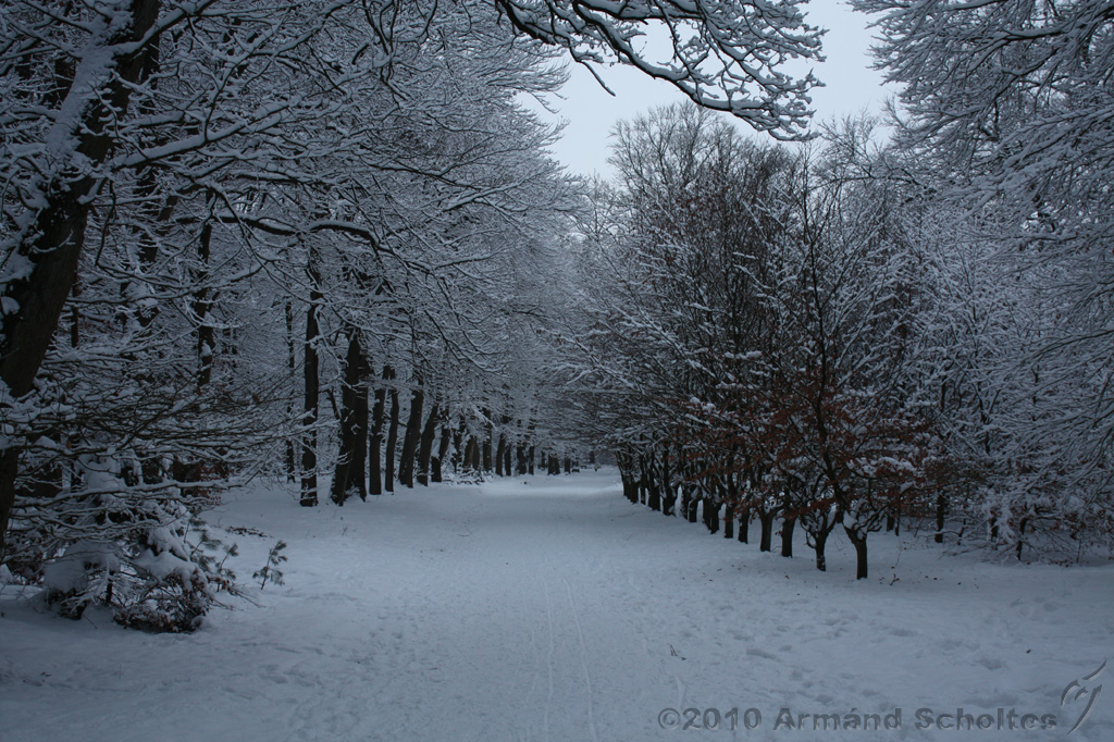 HolterBerg_026.jpg