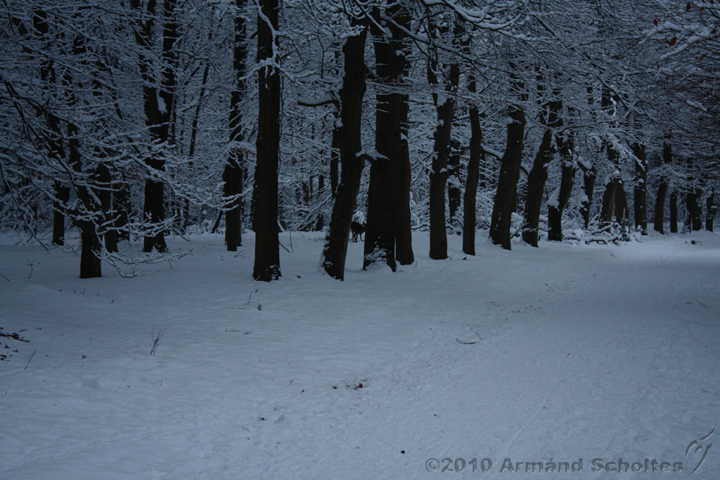 HolterBerg_028.jpg