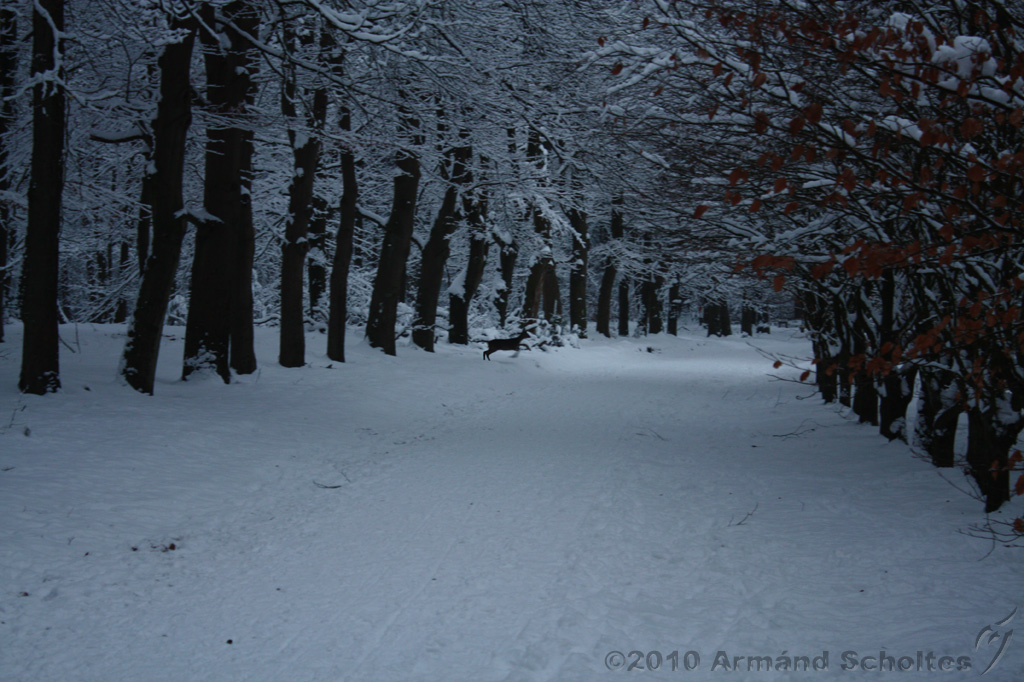 HolterBerg_029.jpg