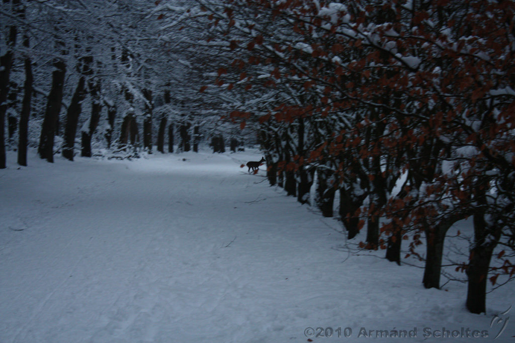 HolterBerg_031.jpg