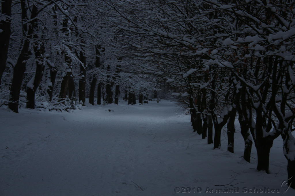 HolterBerg_032.jpg
