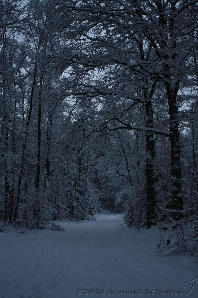 HolterBerg_039.jpg