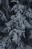 HolterBerg_003