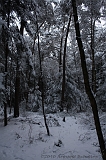 HolterBerg_004