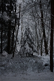 HolterBerg_005