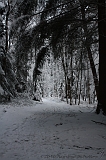 HolterBerg_006