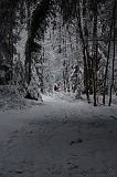 HolterBerg_007