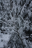HolterBerg_012