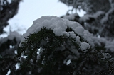 HolterBerg_013