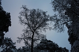 HolterBerg_015