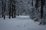 HolterBerg_016