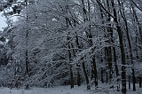 HolterBerg_017