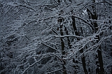 HolterBerg_018