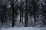 HolterBerg_019