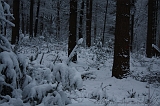 HolterBerg_023