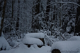 HolterBerg_024