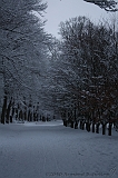 HolterBerg_025