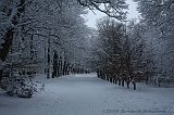 HolterBerg_026