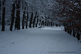 HolterBerg_029