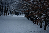 HolterBerg_031