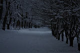 HolterBerg_032