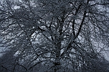 HolterBerg_035