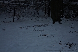 HolterBerg_036