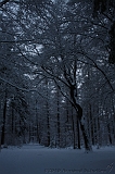 HolterBerg_037