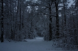 HolterBerg_038