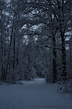 HolterBerg_039
