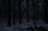 HolterBerg_040
