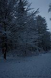 HolterBerg_042